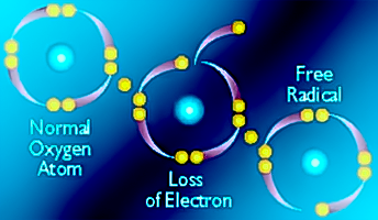 What are antioxidants, how do they work, what are they useful for, where are they found loss electron