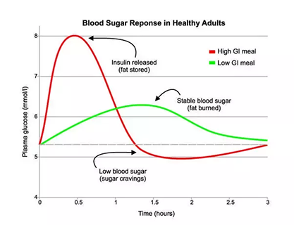 Bread - Blood Sugar Response